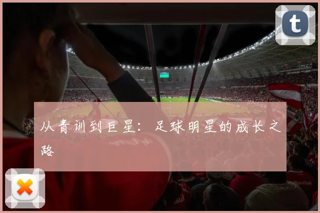从青训到巨星：足球明星的成长之路
