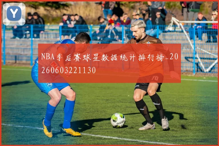 NBA季后赛球星数据统计排行榜_20260603221130