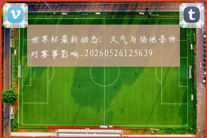 世界杯最新动态:天气与场地条件对赛事影响_20260526125639