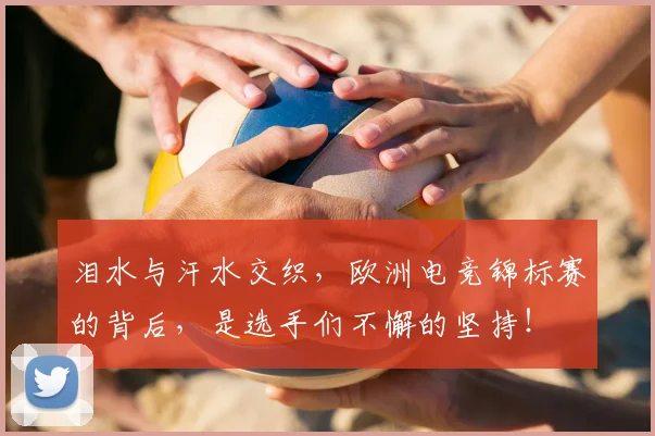 泪水与汗水交织，欧洲电竞锦标赛的背后，是选手们不懈的坚持！